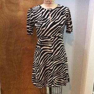 H&M Zebra dress in Black & White!